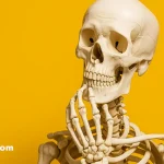 стоит ли создавать свой сайт