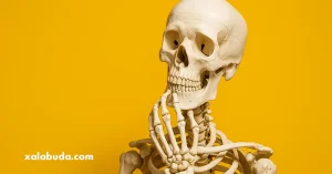 стоит ли создавать свой сайт