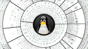 linux kernel