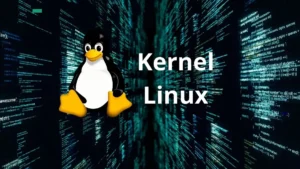 build linux kernel